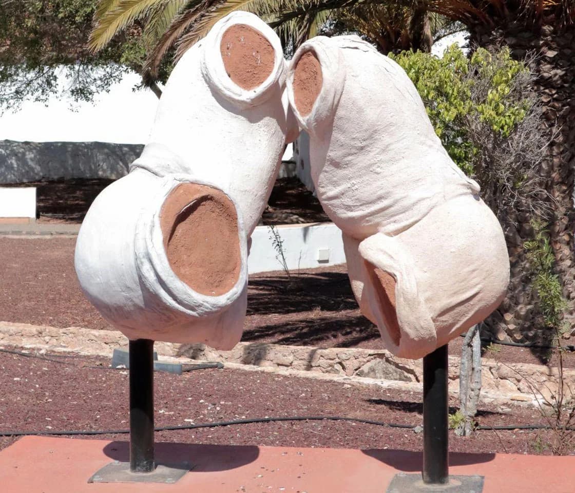 Lucha Canaria - Imagen 1