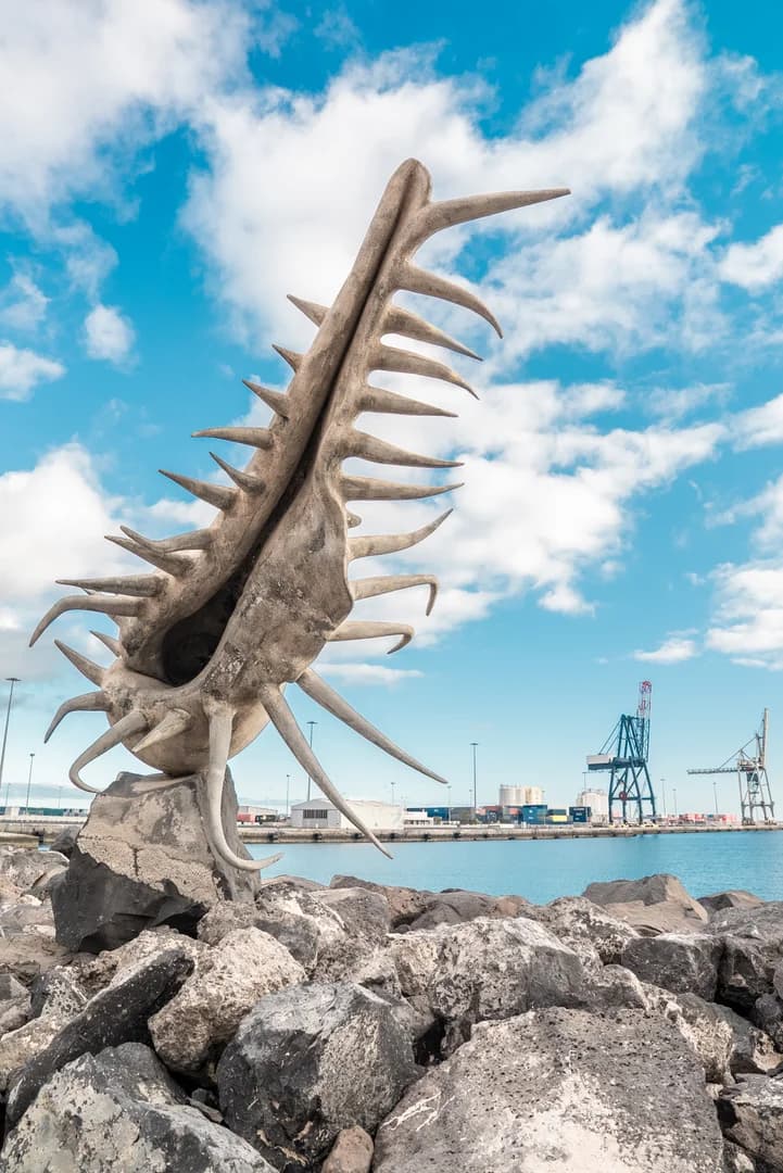 Caracola I - Imagen 1